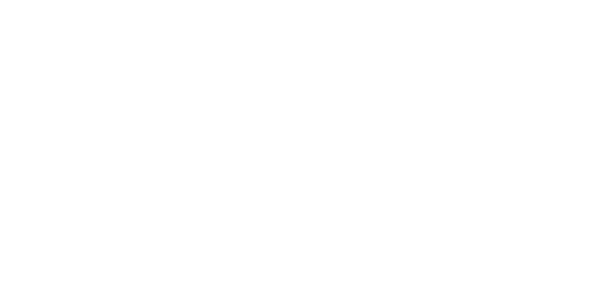 AIMSCAP — Official Partner of Lamborghini